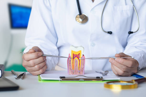  Colony Rk, PA Emergency Dentist Pros